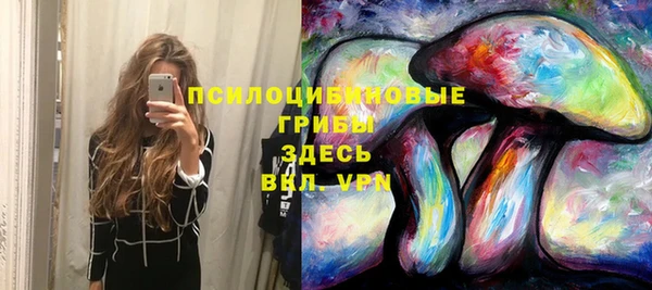 амф Бугульма