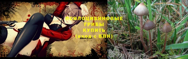амф Бугульма